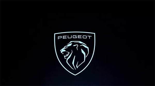 神龍集團(tuán)戰(zhàn)略,神龍,東風(fēng)標(biāo)志