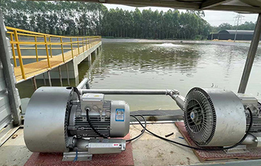 工廠化水產(chǎn)養(yǎng)殖設(shè)備品牌定位案例分析